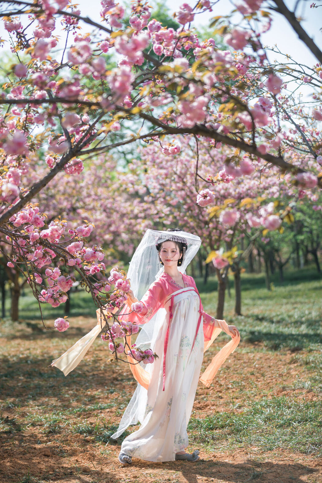 YiTuYu艺图语 Vol.6816 Yang Yang