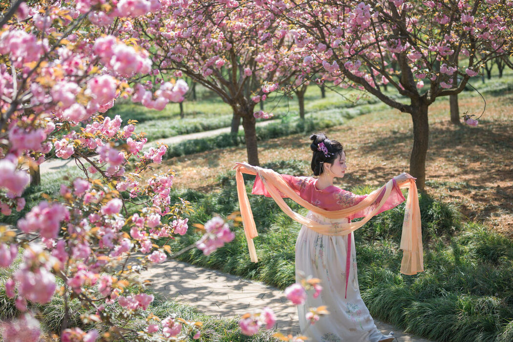 YiTuYu艺图语 Vol.6816 Yang Yang
