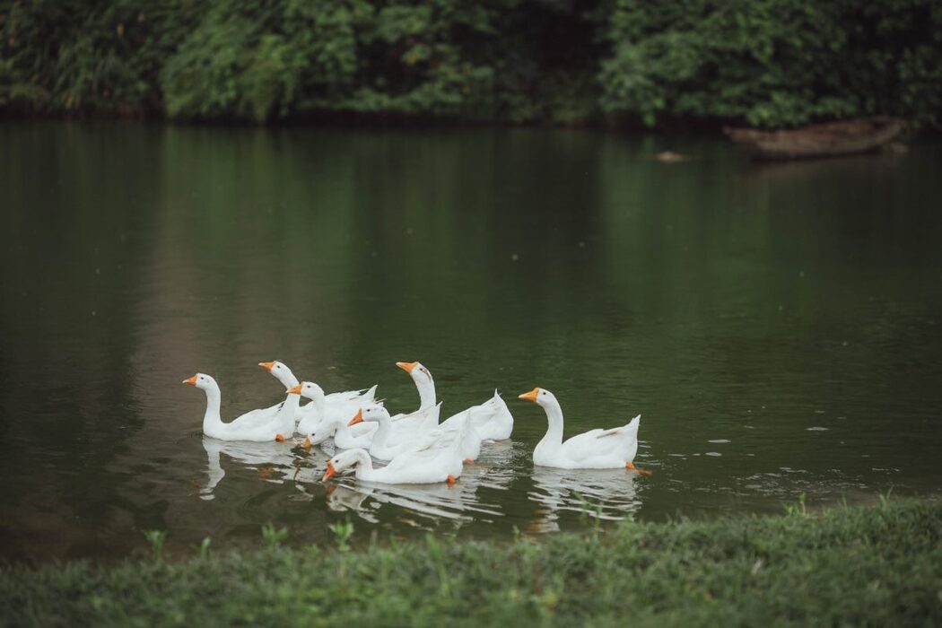 YiTuYu艺图语 Vol.504 Tao Ran