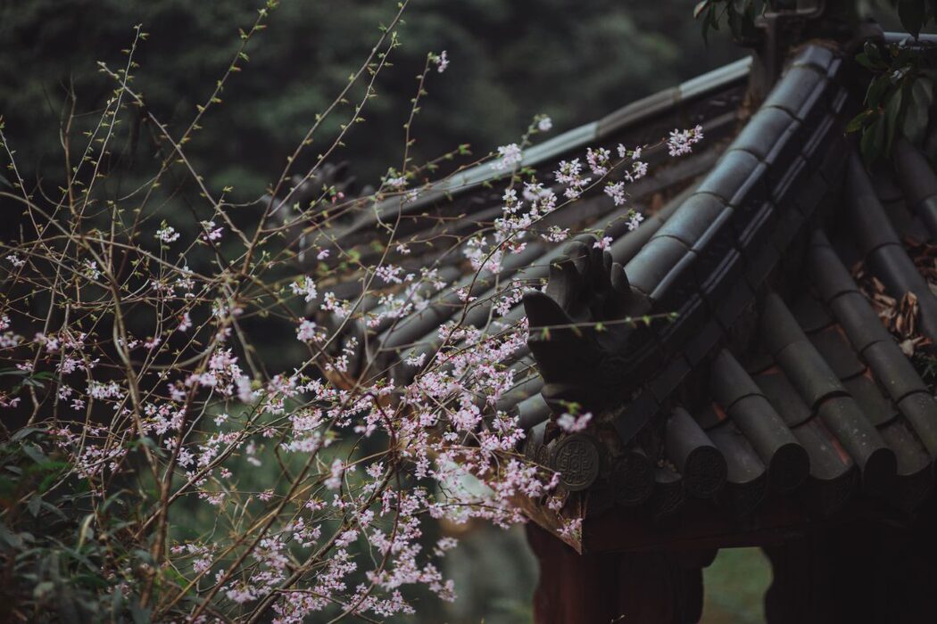 YiTuYu艺图语 Vol.488 Jing Xian