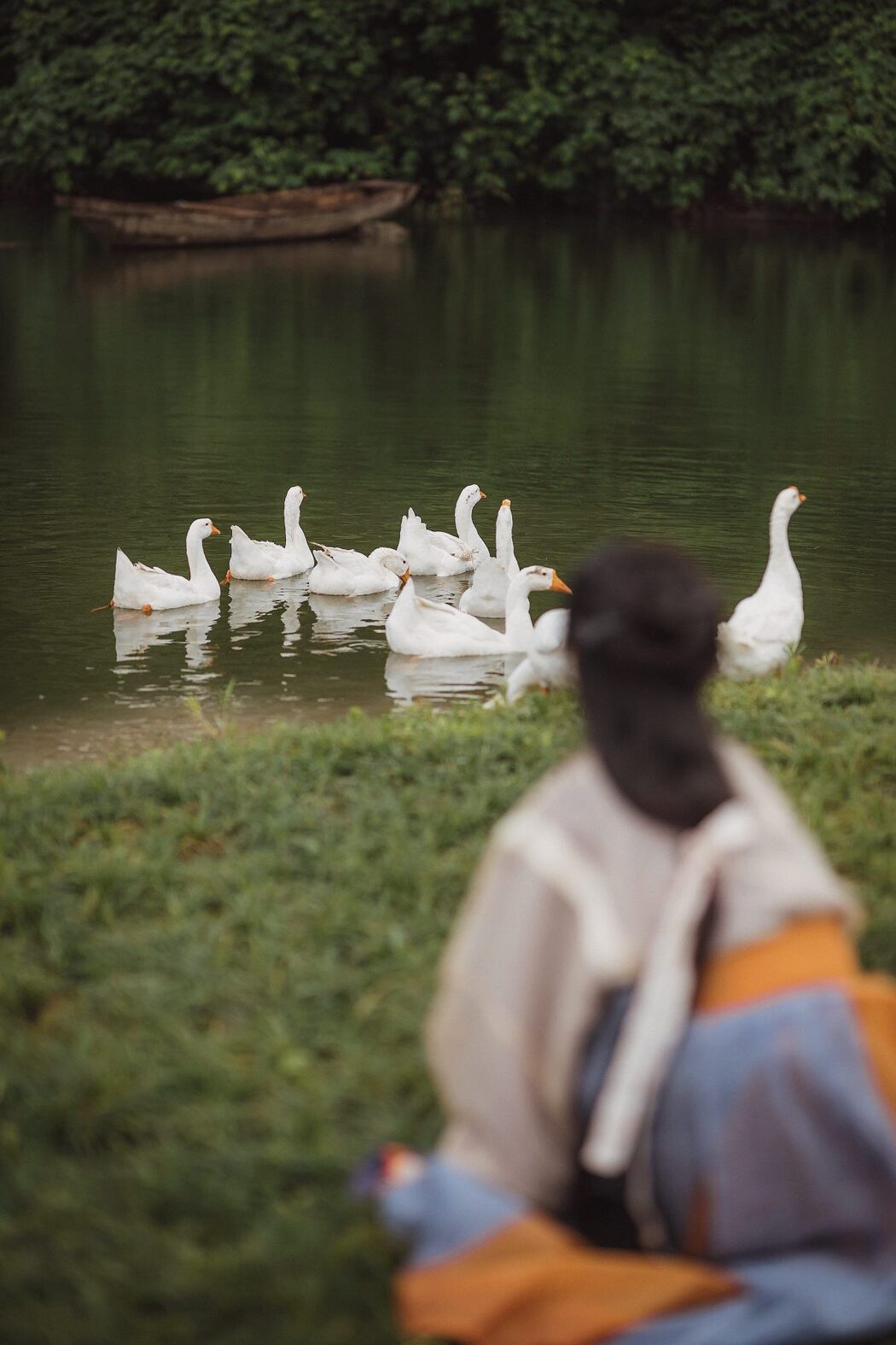 YiTuYu艺图语 Vol.504 Tao Ran