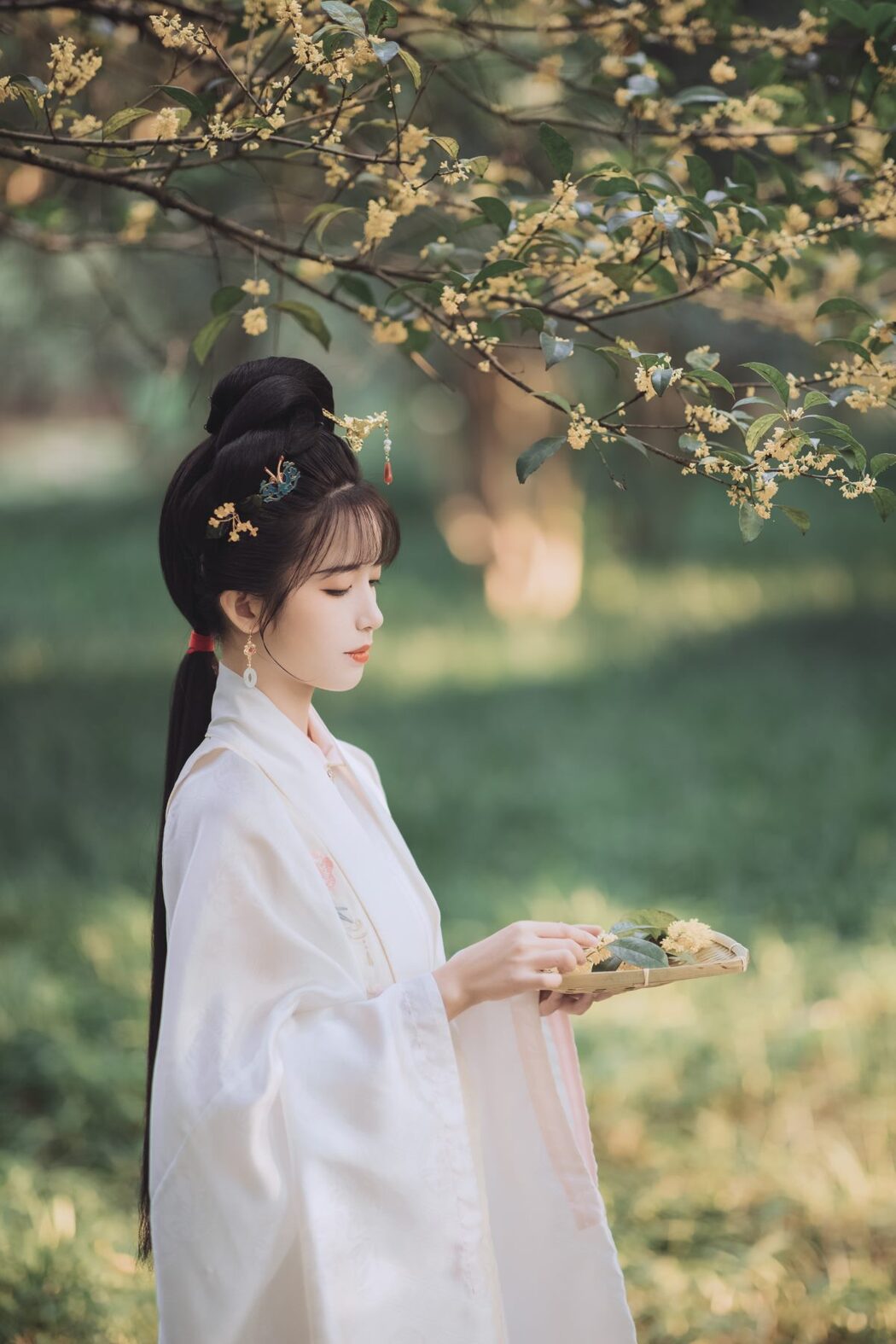 YiTuYu艺图语 Vol.557 Yi Zhi a Meng Zai