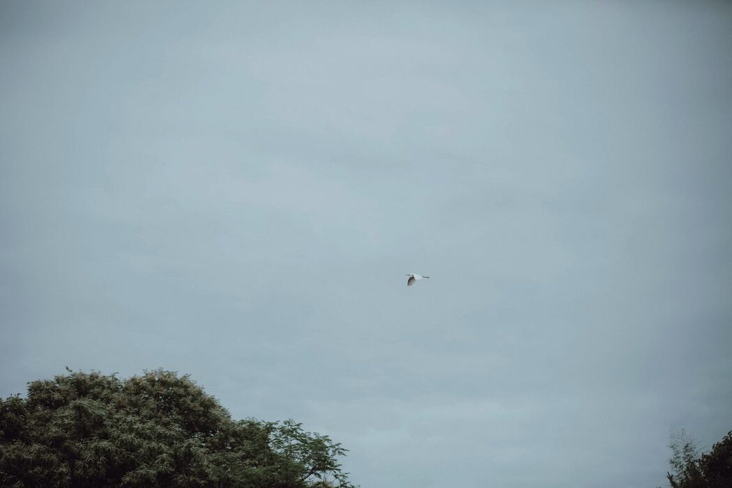 YiTuYu艺图语 Vol.490 Han Zhen