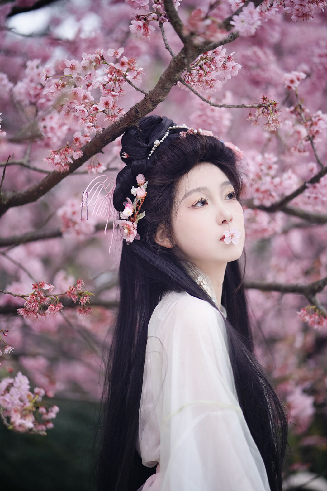 YiTuYu艺图语 Vol.6801 Shu Qian Yi