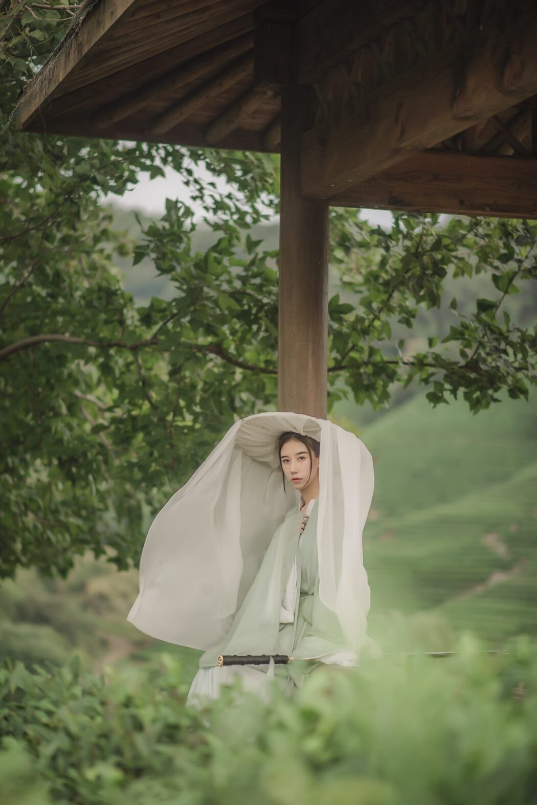 YiTuYu艺图语 Vol.511 Cao Lao Ban