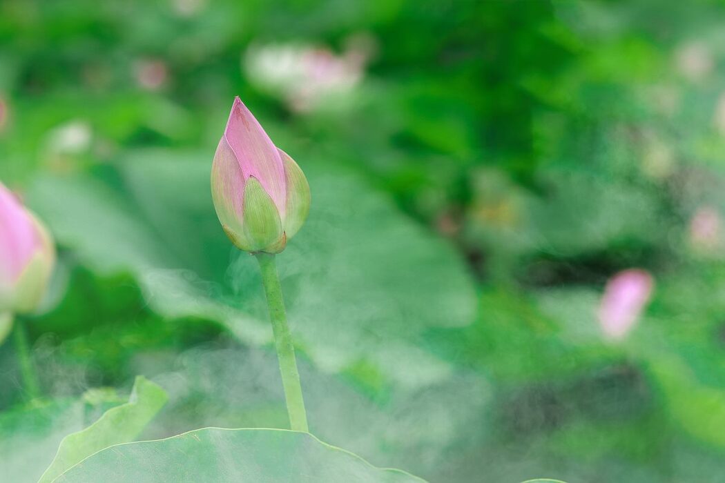 YiTuYu艺图语 Vol.514 Kong Di