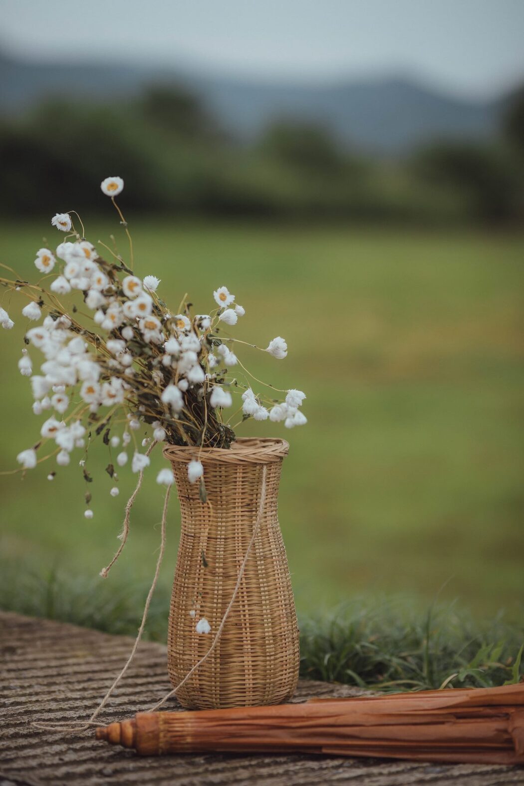 YiTuYu艺图语 Vol.504 Tao Ran