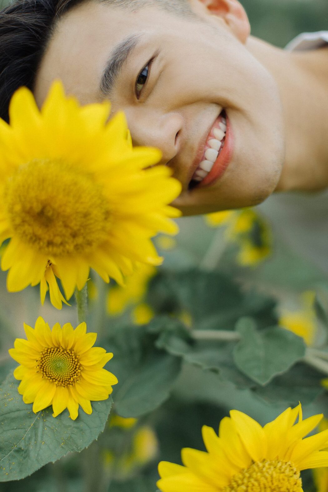 YiTuYu艺图语 Vol.517 Huo fan