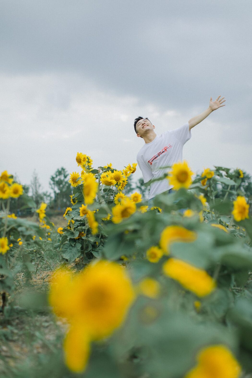 YiTuYu艺图语 Vol.517 Huo fan