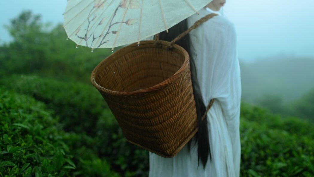 YiTuYu艺图语 Vol.606 Chu Cha