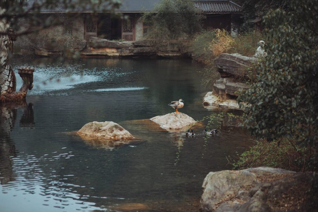 YiTuYu艺图语 Vol.488 Jing Xian