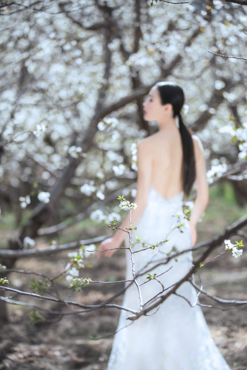 YiTuYu艺图语 Vol.4413 Wei Wei