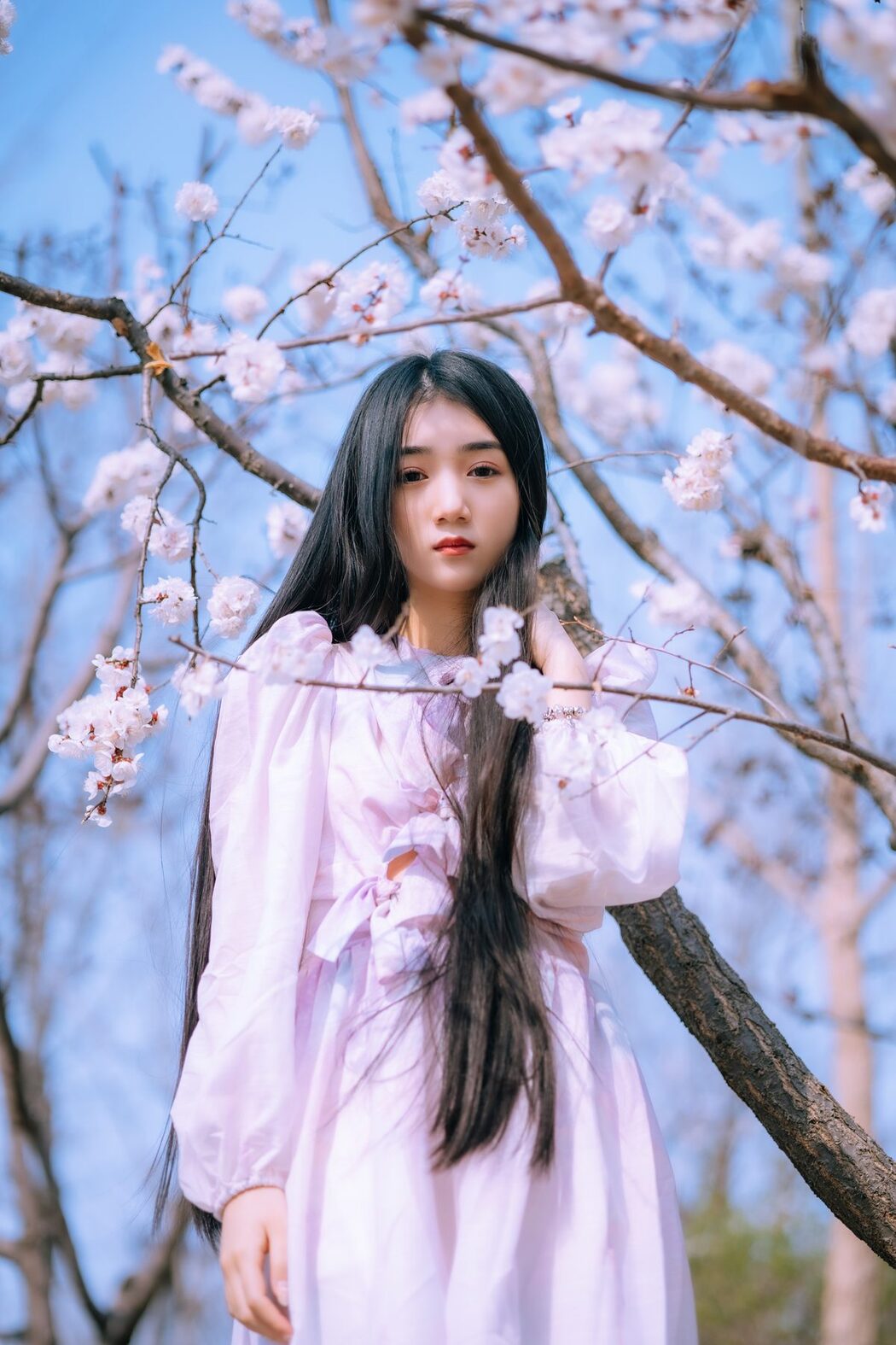 YiTuYu艺图语 Vol.4460 Yi Yu He Bao Dan