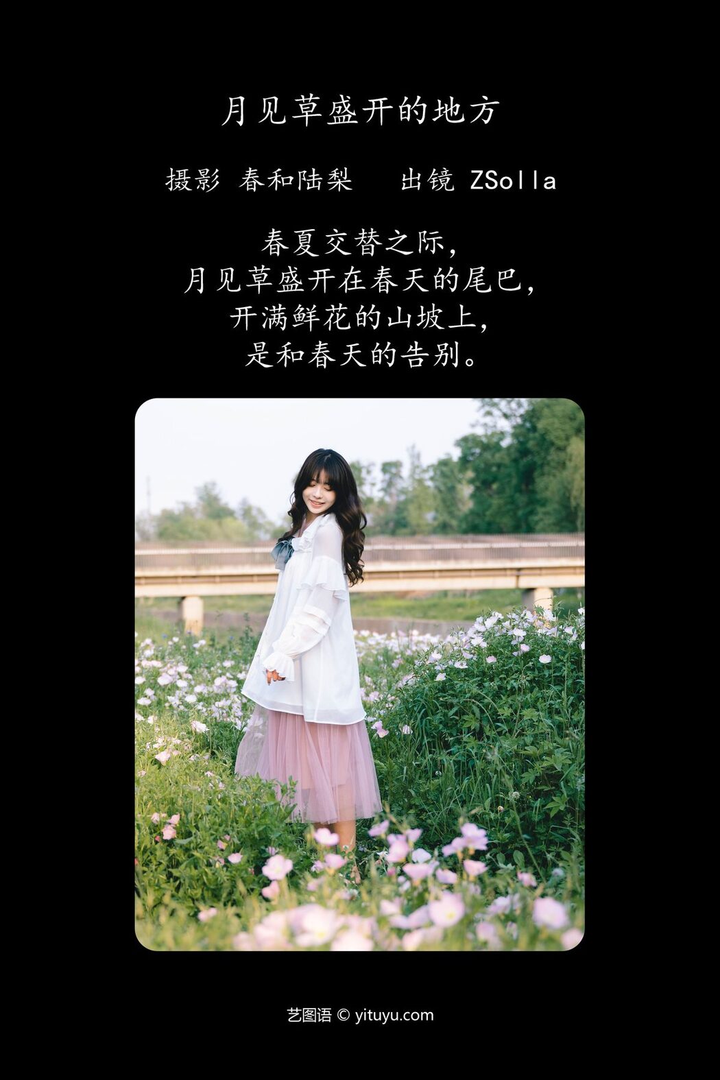 YiTuYu艺图语 Vol.4599 Z_solla