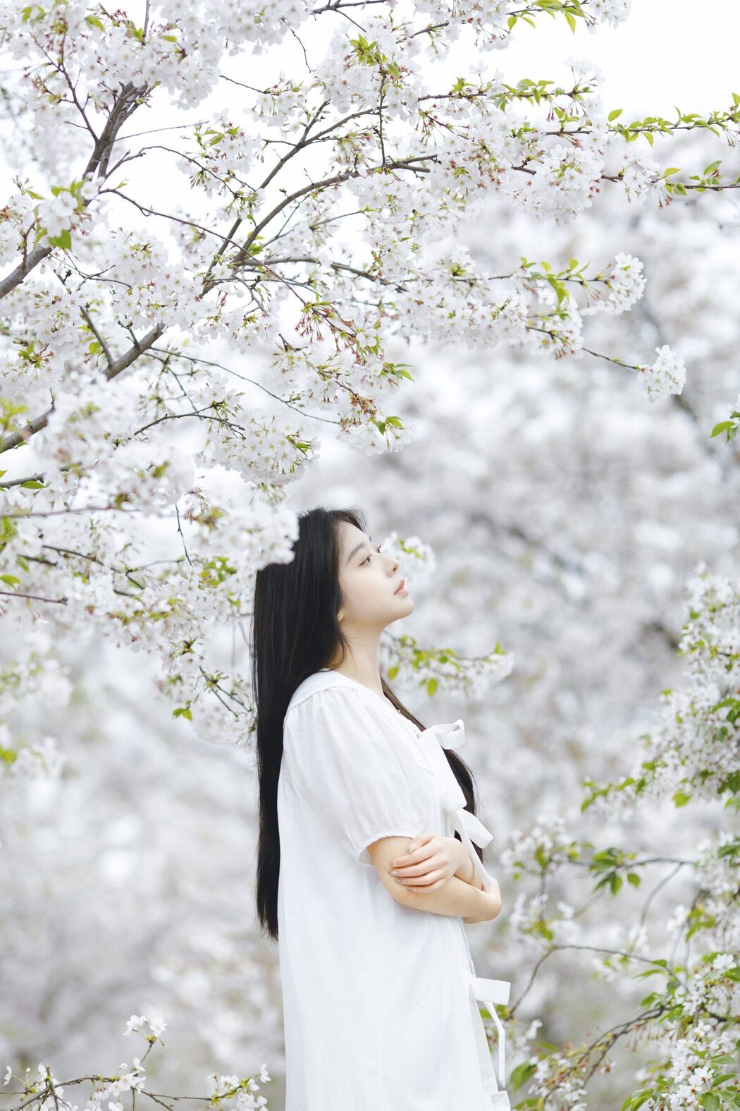 YiTuYu艺图语 Vol.4616 Z_solla