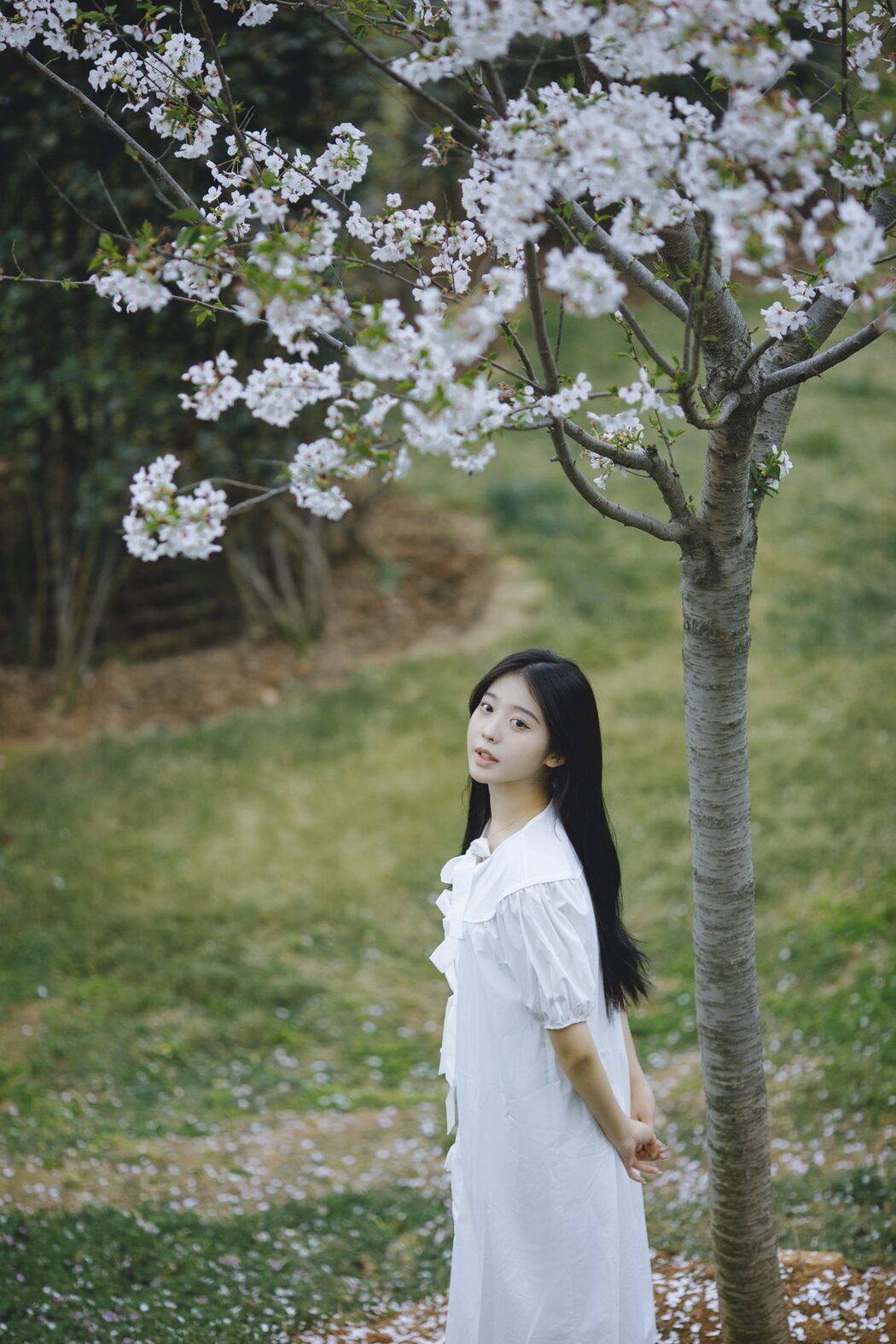 YiTuYu艺图语 Vol.4616 Z_solla