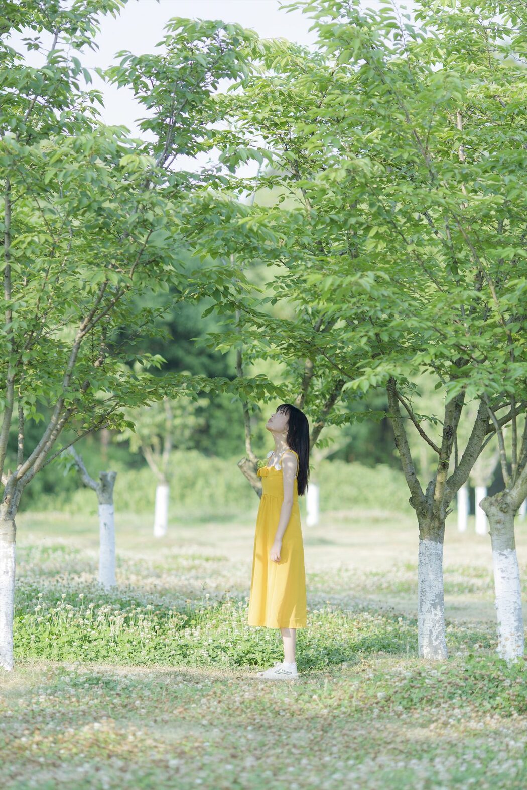 YiTuYu艺图语 Vol.4673 Xin Ki Nai Zi