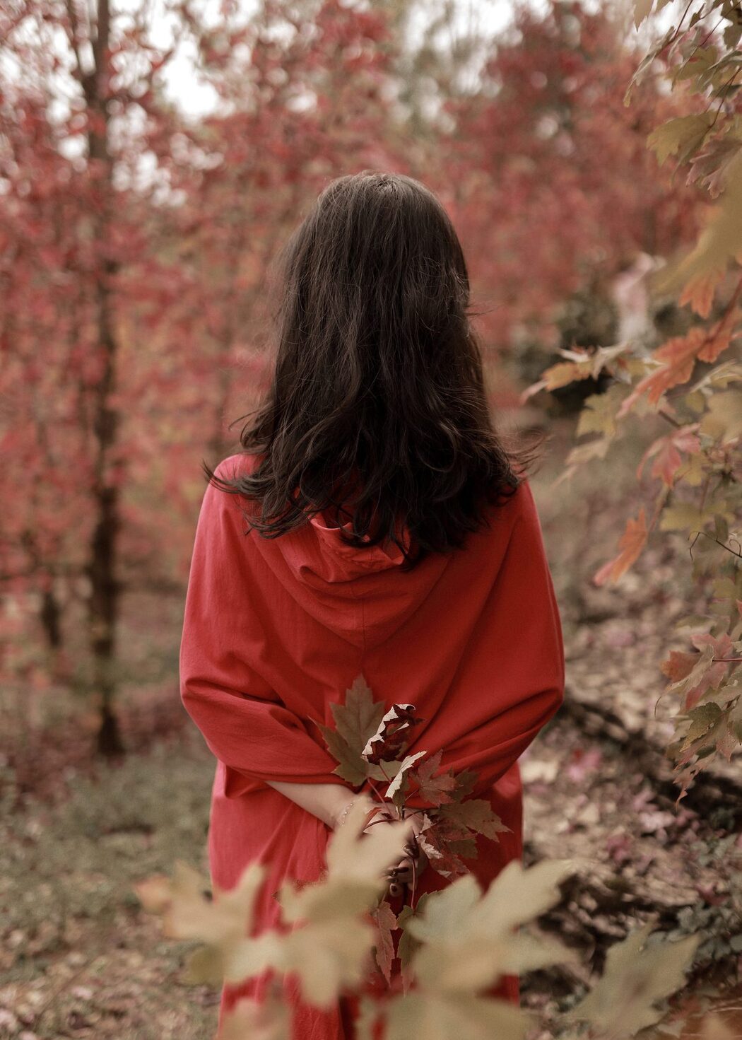YiTuYu艺图语 Vol.4577 Xiao Yao