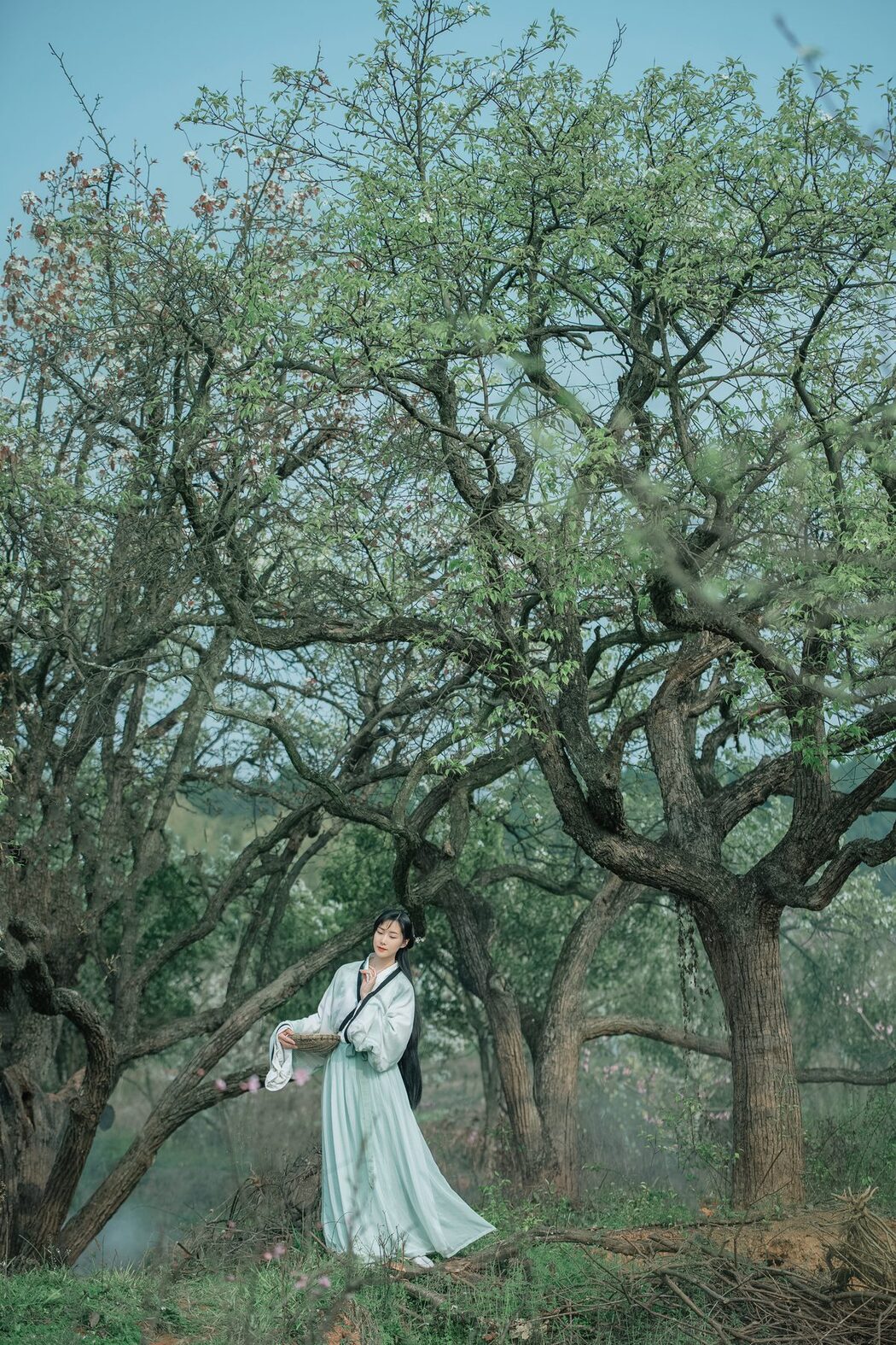YiTuYu艺图语 Vol.4667 Mu Jing Shu