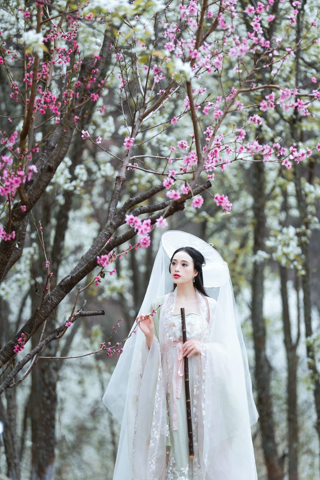 YiTuYu艺图语 Vol.4753 Wei Wei