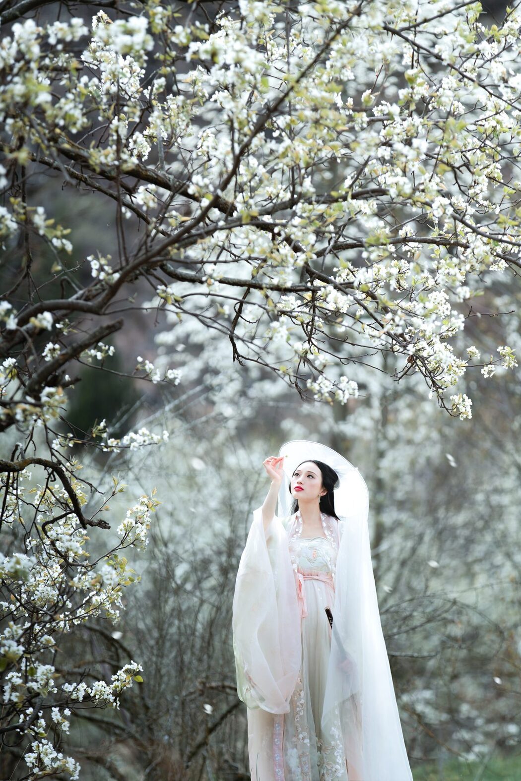 YiTuYu艺图语 Vol.4753 Wei Wei