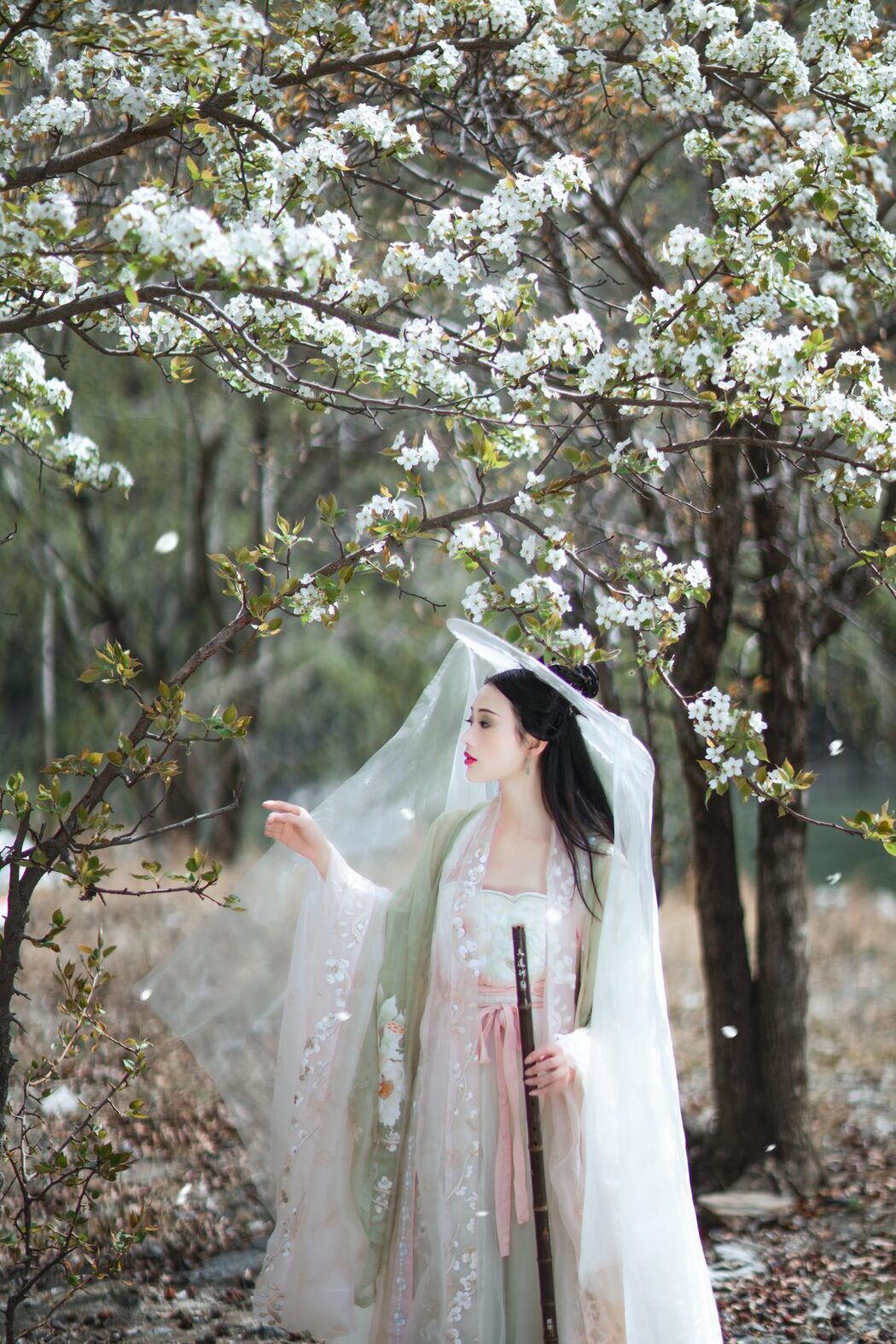 YiTuYu艺图语 Vol.4753 Wei Wei