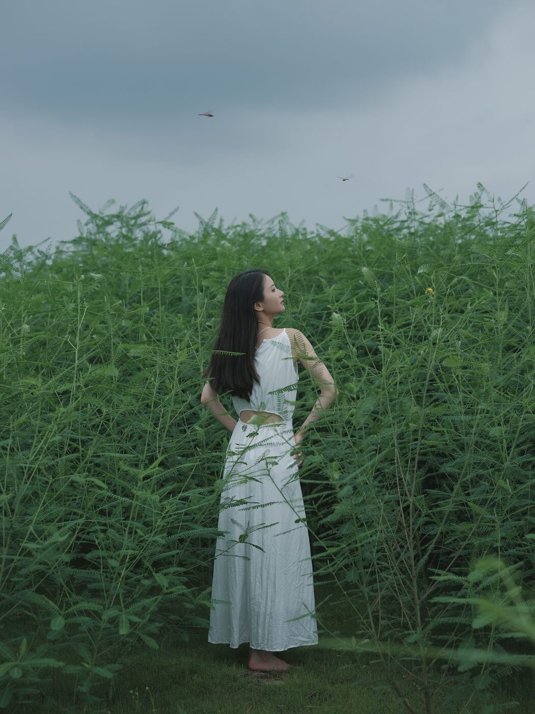 YiTuYu艺图语 Vol.4871 Xiao Zhao