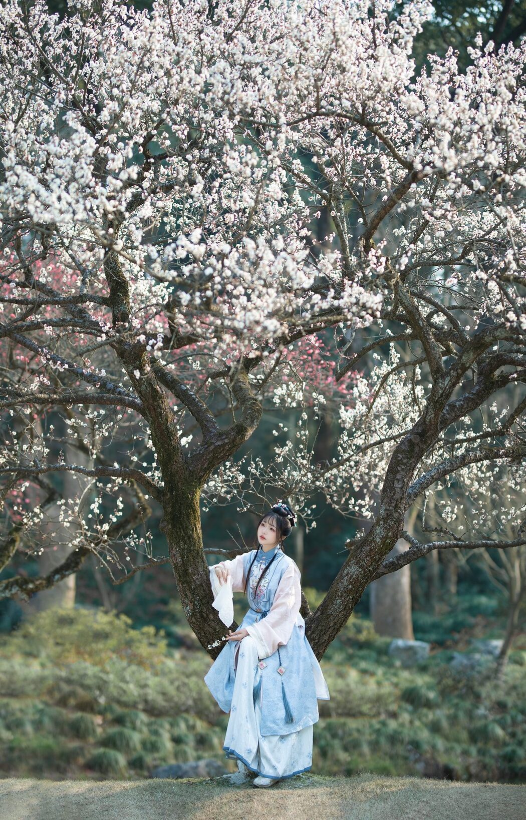 YiTuYu艺图语 Vol.5073 Yun Yun De Hei Yan Quan Er