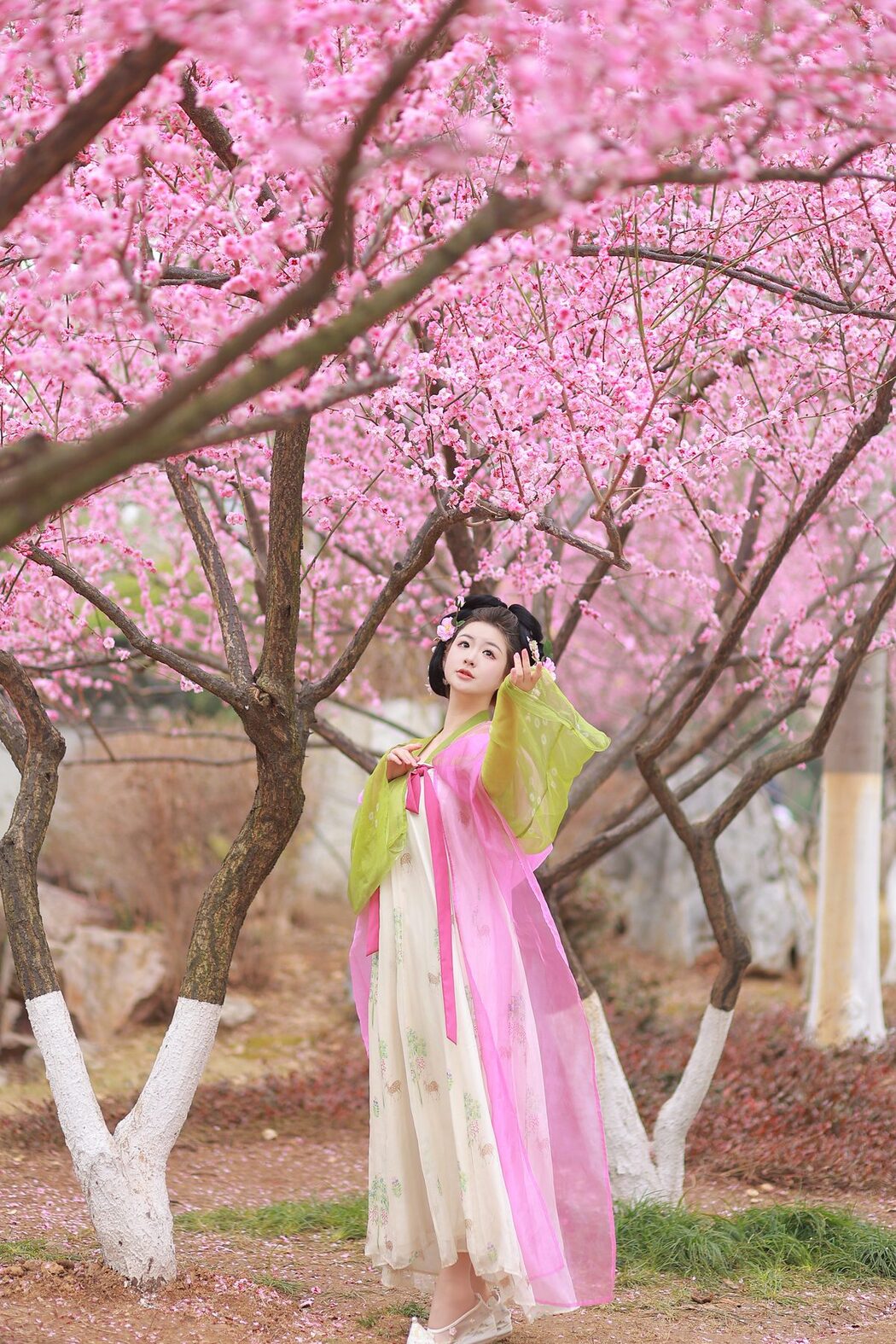 YiTuYu艺图语 Vol.5044 Bu Ke Ai De He He Miao