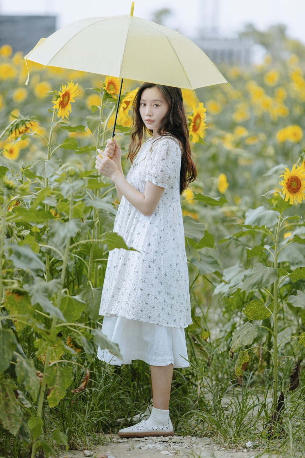 YiTuYu艺图语 Vol.5269 Lu Dou