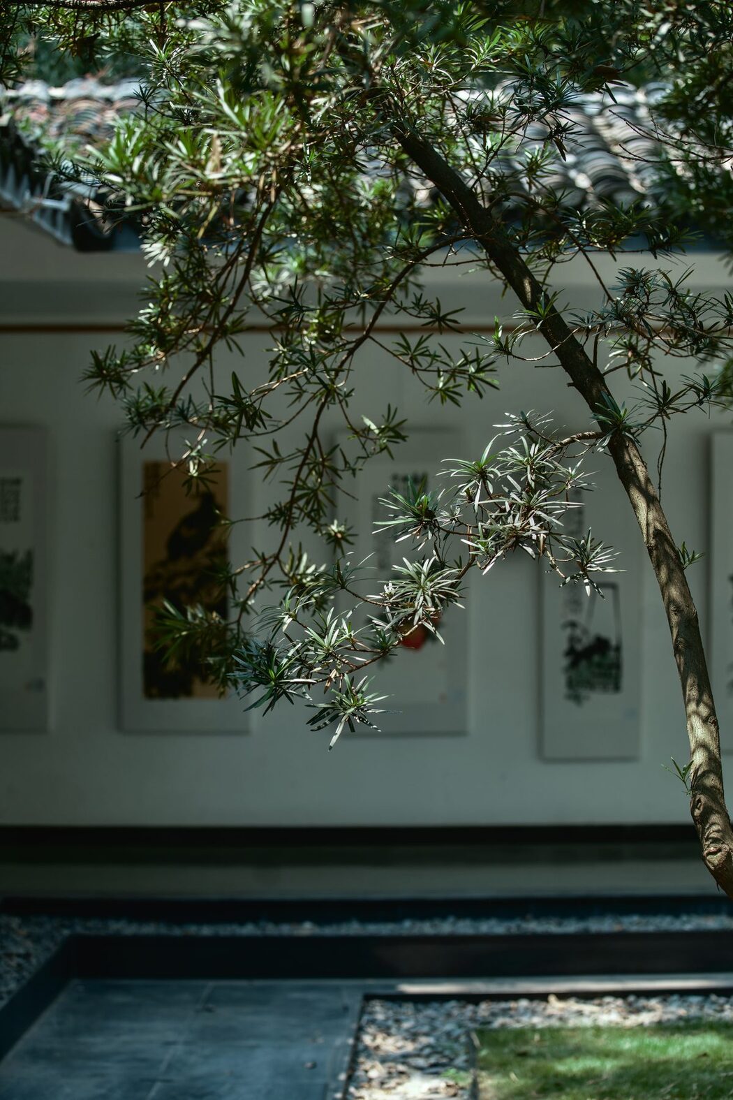 YiTuYu艺图语 Vol.5242 Yu Yuan Yuan E