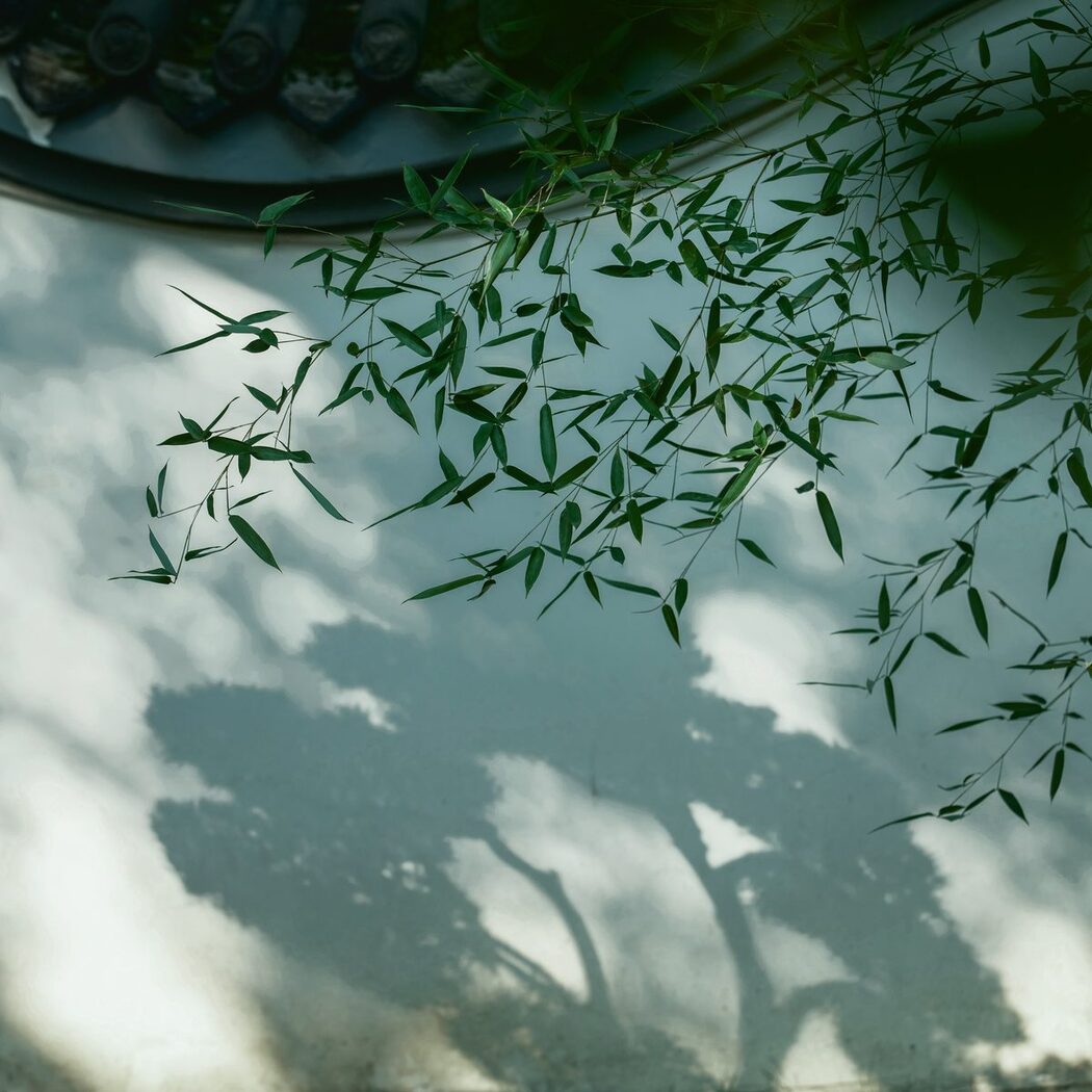 YiTuYu艺图语 Vol.5242 Yu Yuan Yuan E