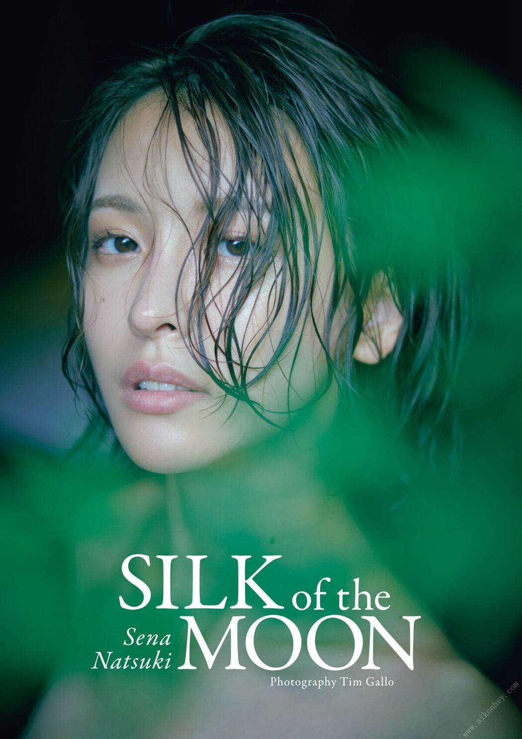 JP Sena Natsuki 奈月セナ – SILK Of The MOON Part01 (55P)