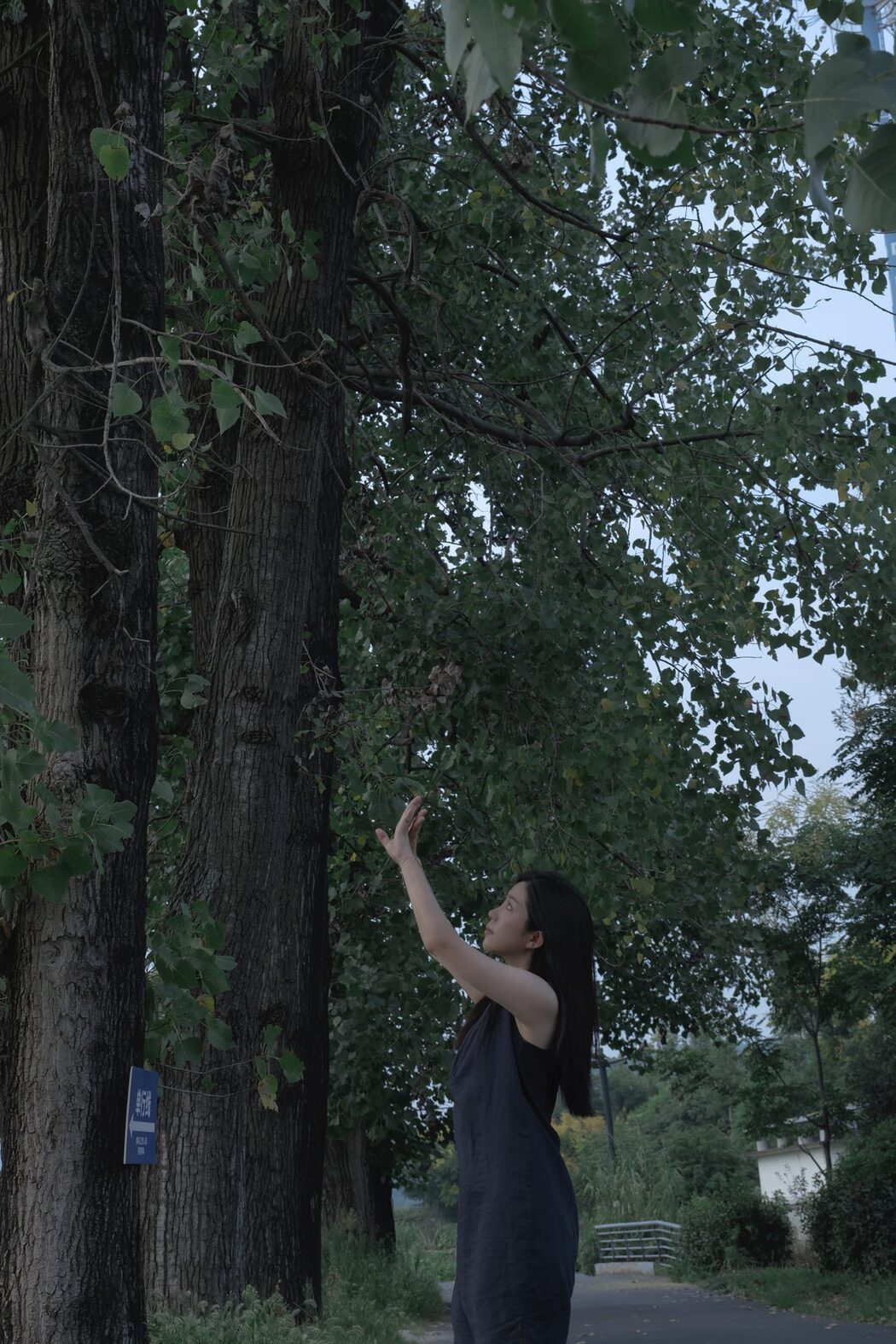 YiTuYu艺图语 Vol.5572 Bo Cai San Ming Zhi