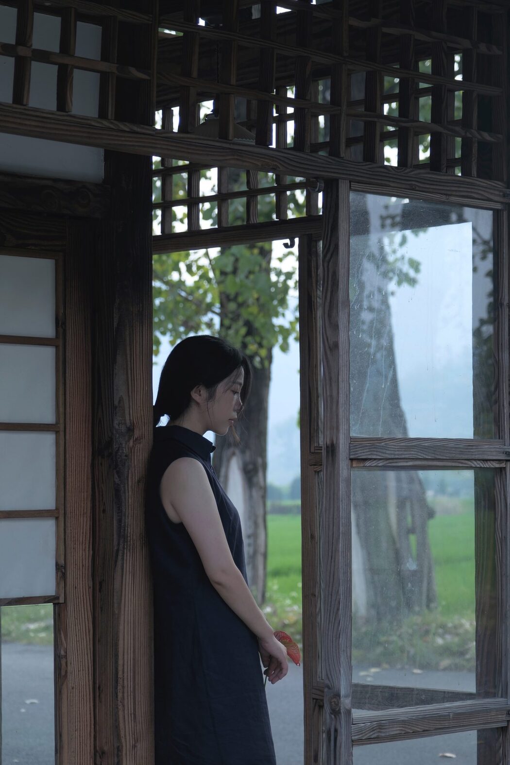 YiTuYu艺图语 Vol.5572 Bo Cai San Ming Zhi