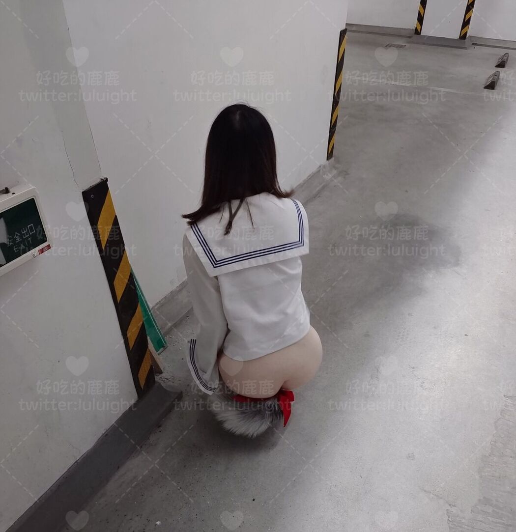 Coser@好吃的鹿鹿 And luluight – 顶级Cos白虎萝莉 私拍福利 Part05 (61P)