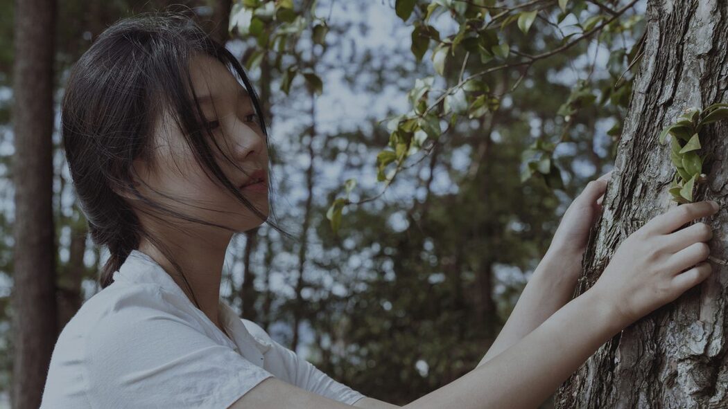 YiTuYu艺图语 Vol.5964 Xiao Hu