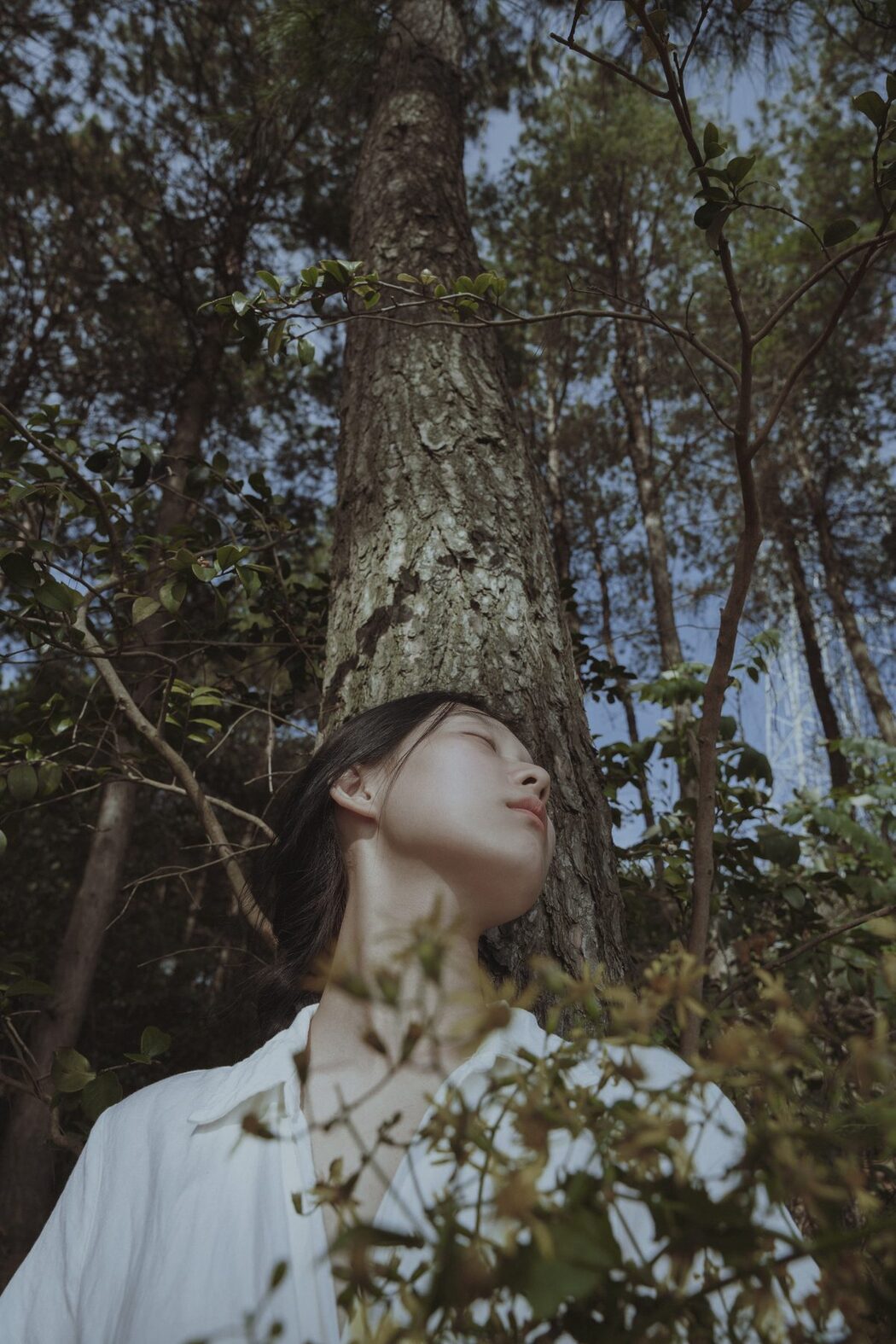 YiTuYu艺图语 Vol.5964 Xiao Hu