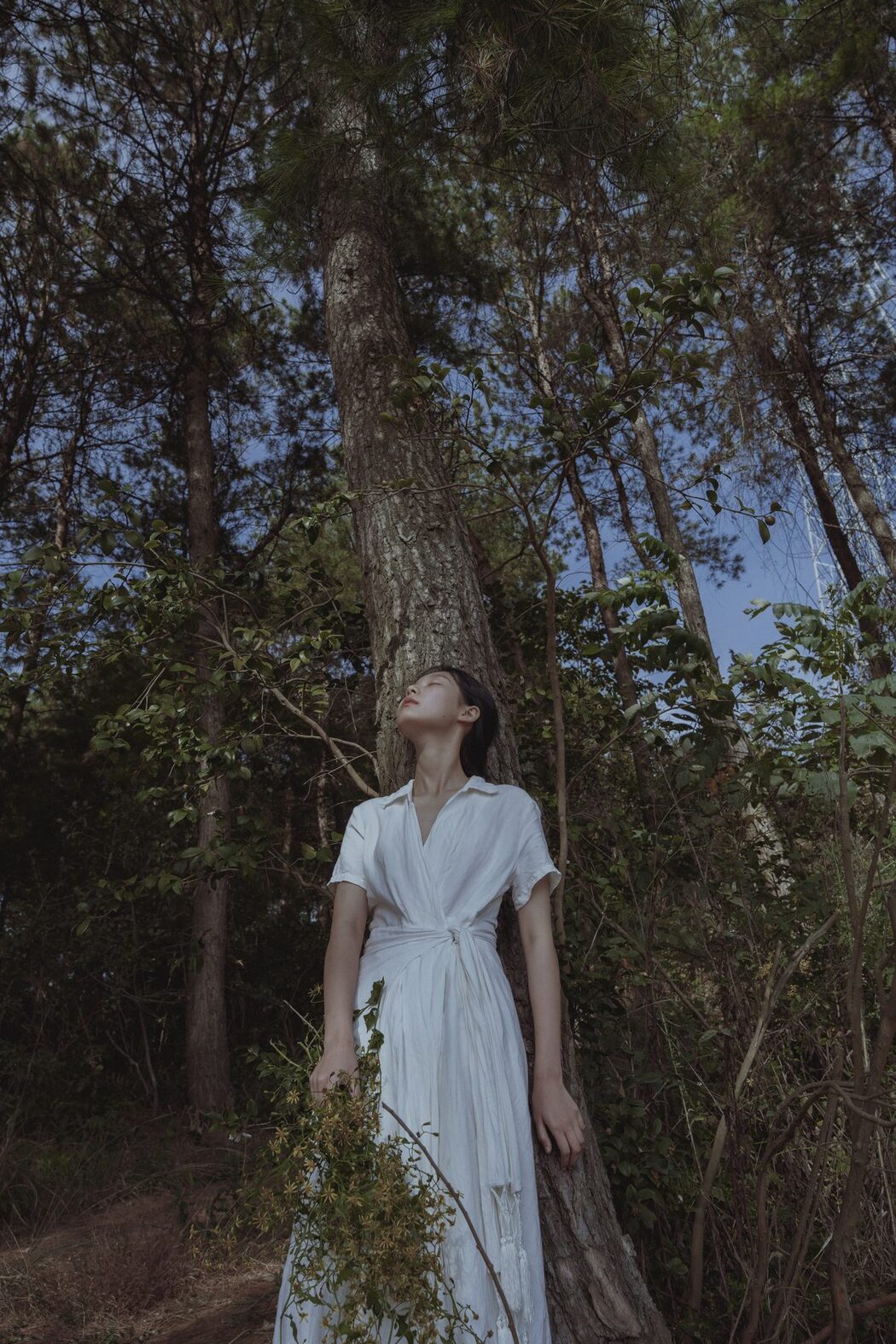 YiTuYu艺图语 Vol.5964 Xiao Hu