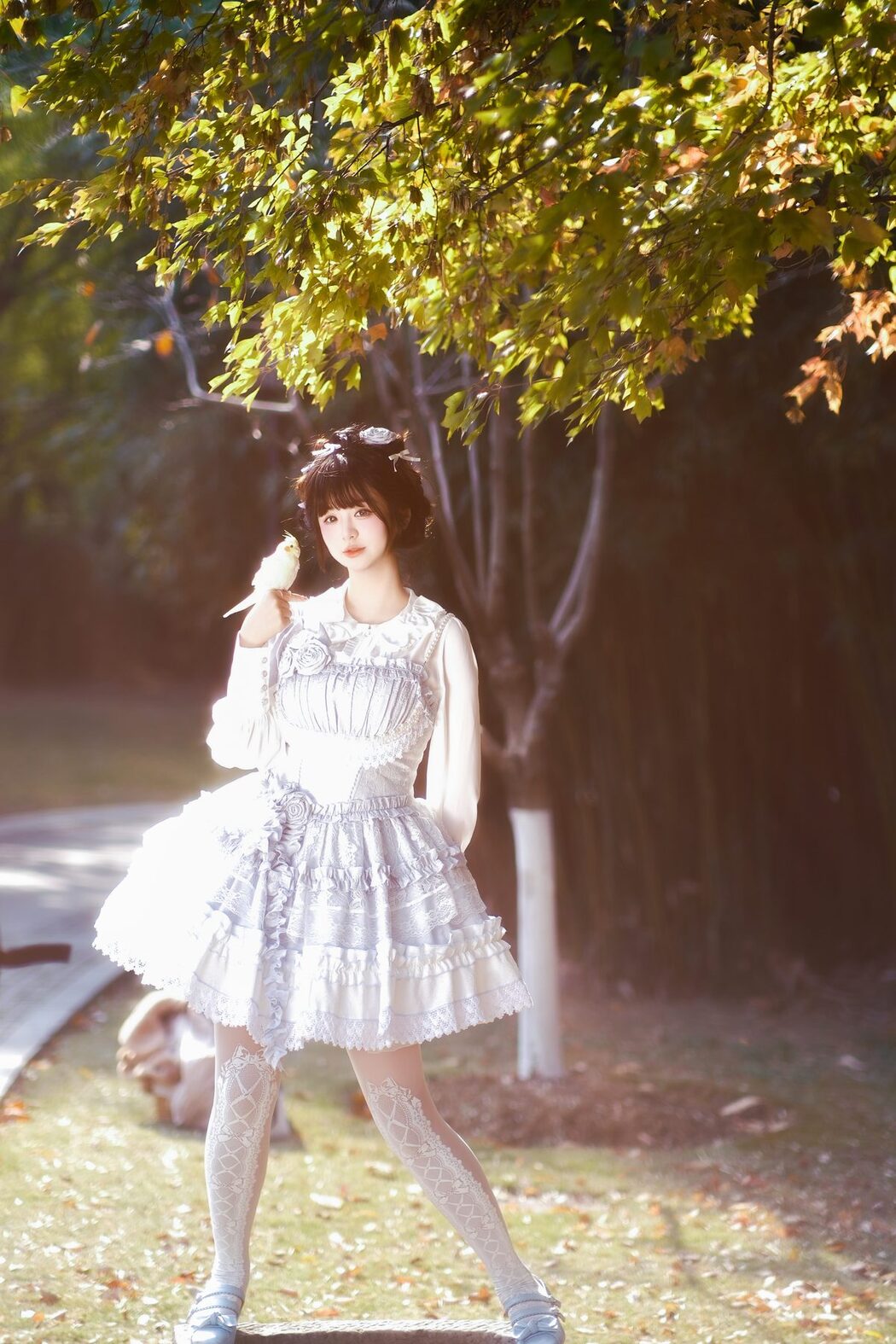 YiTuYu艺图语 Vol.6084 Bu Ke Ai De He He Miao