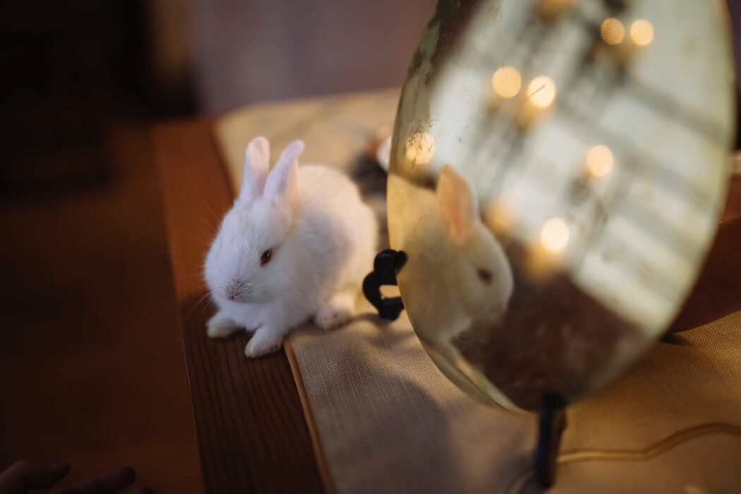 YiTuYu艺图语 Vol.660 Cang Cang