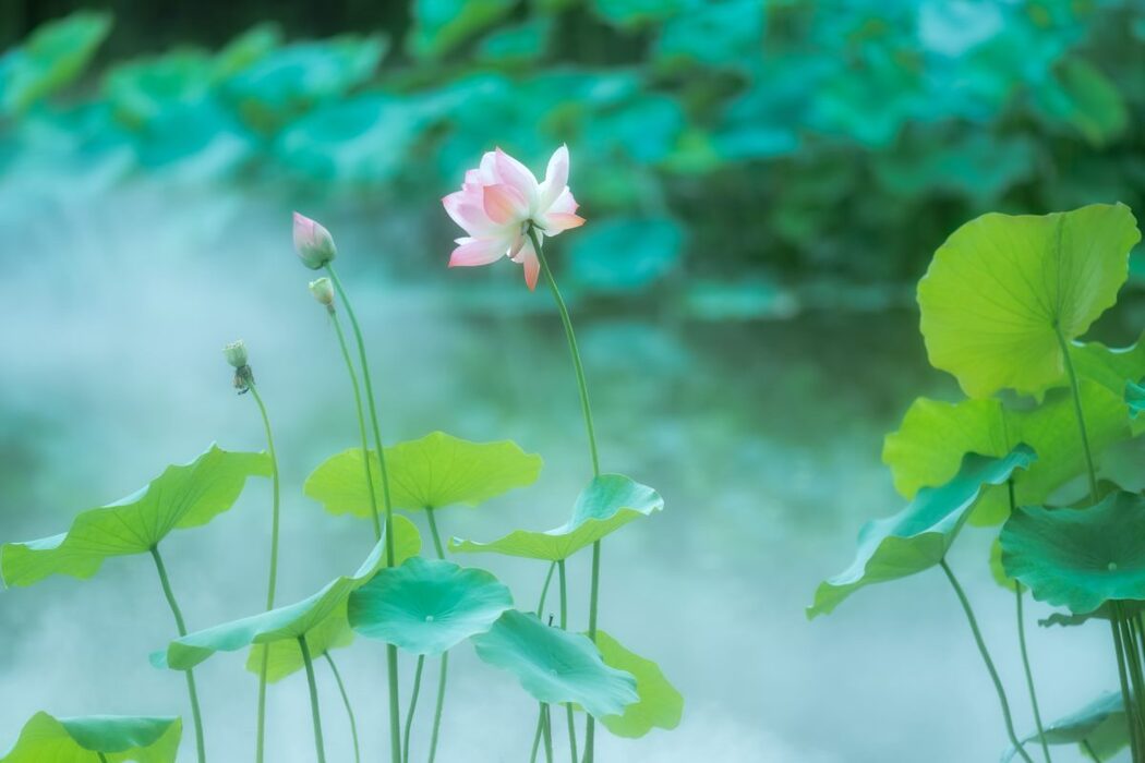 YiTuYu艺图语 Vol.611 Xiu Shui Ning Hua