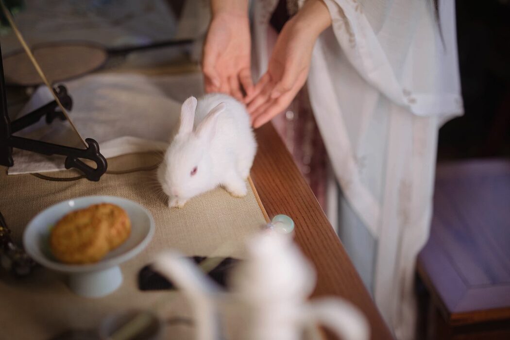 YiTuYu艺图语 Vol.660 Cang Cang