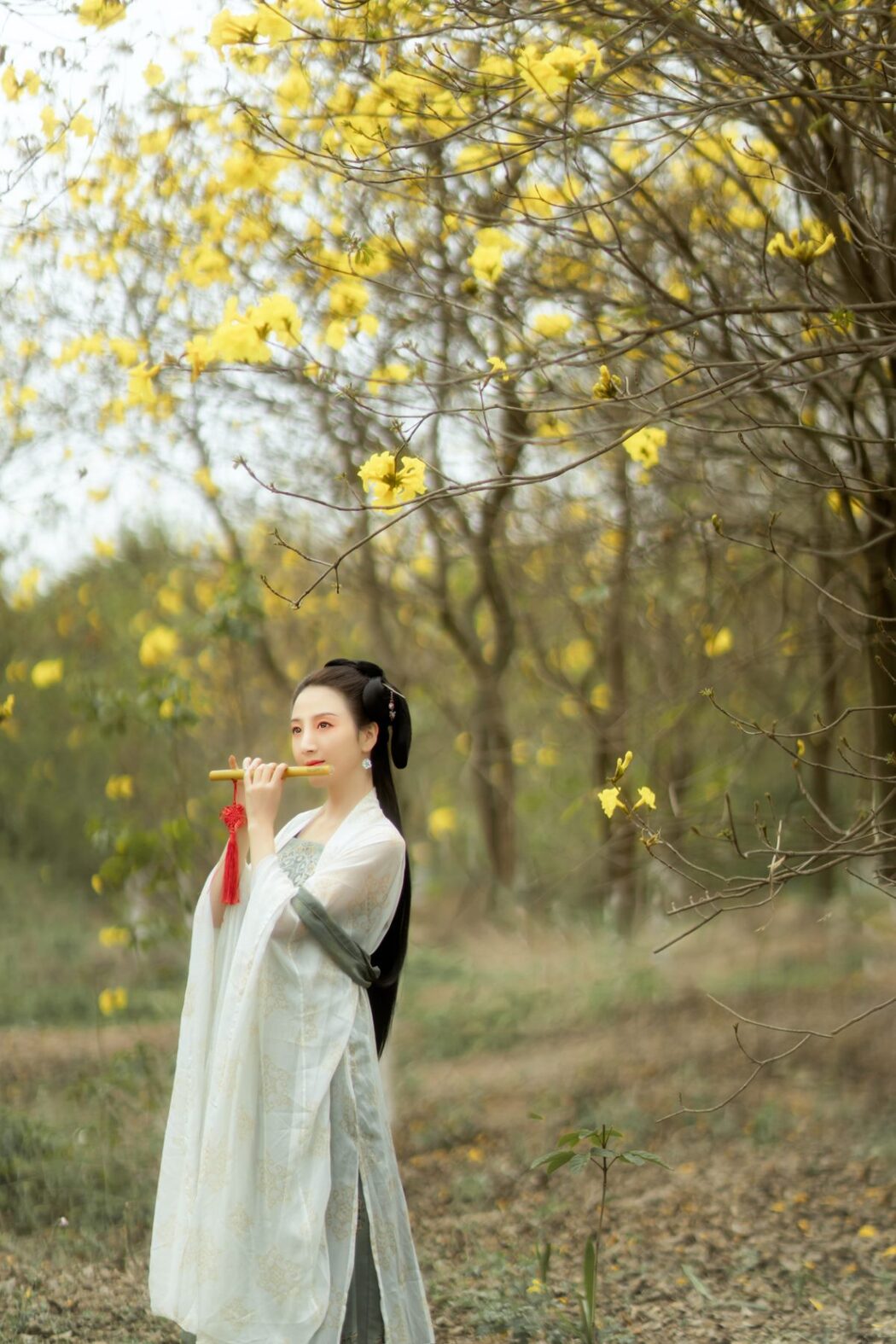 YiTuYu艺图语 Vol.644 Hua Mei Xi