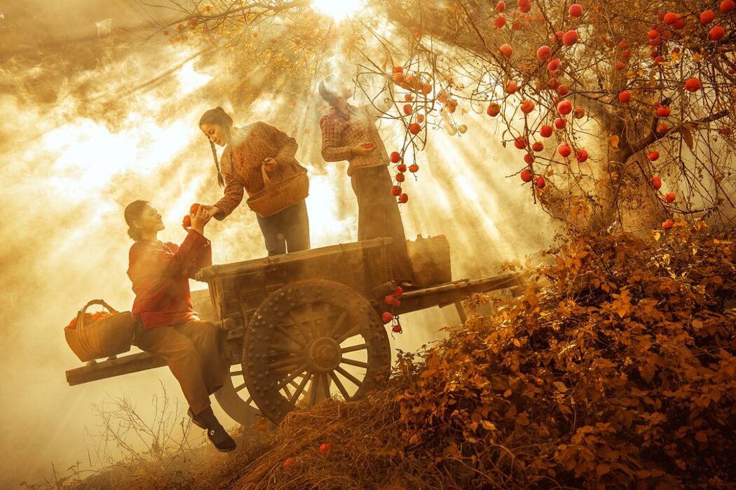 YiTuYu艺图语 Vol.735 Shi Zi Nu Wang