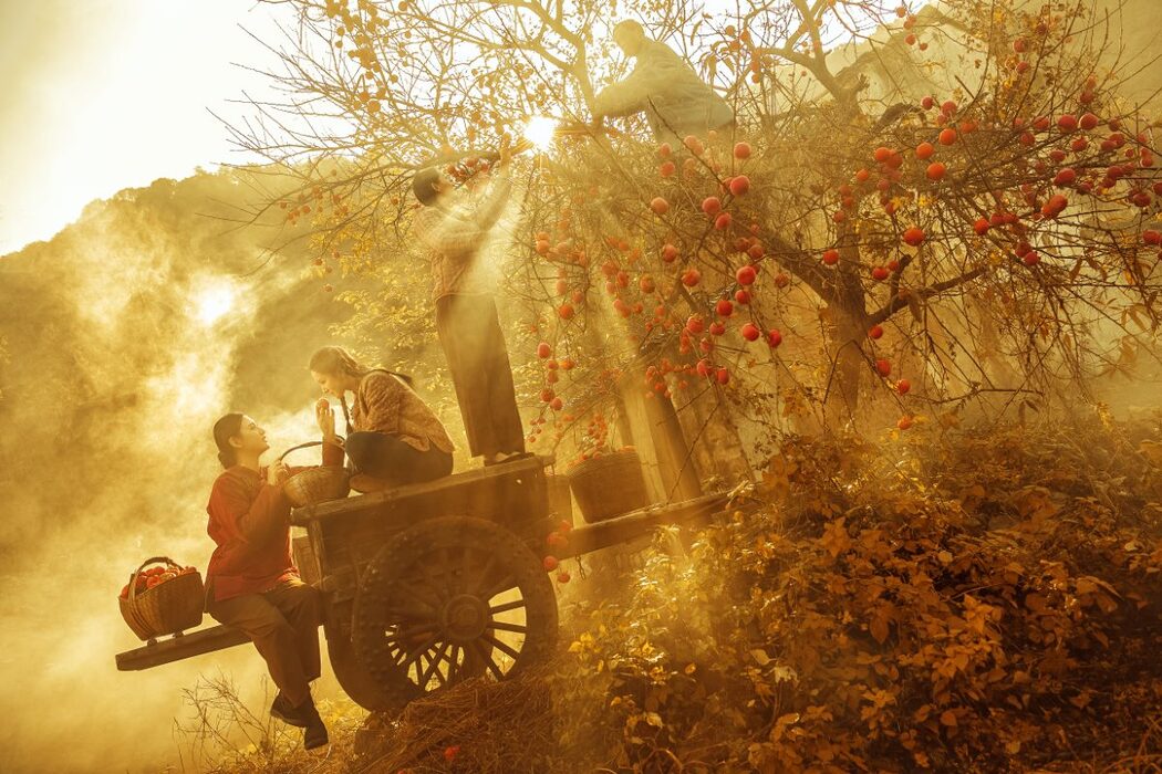 YiTuYu艺图语 Vol.735 Shi Zi Nu Wang