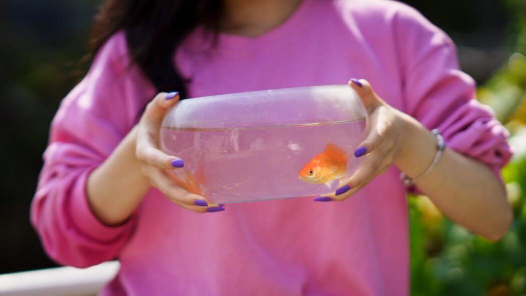 YiTuYu艺图语 Vol.807 Xiao Rong