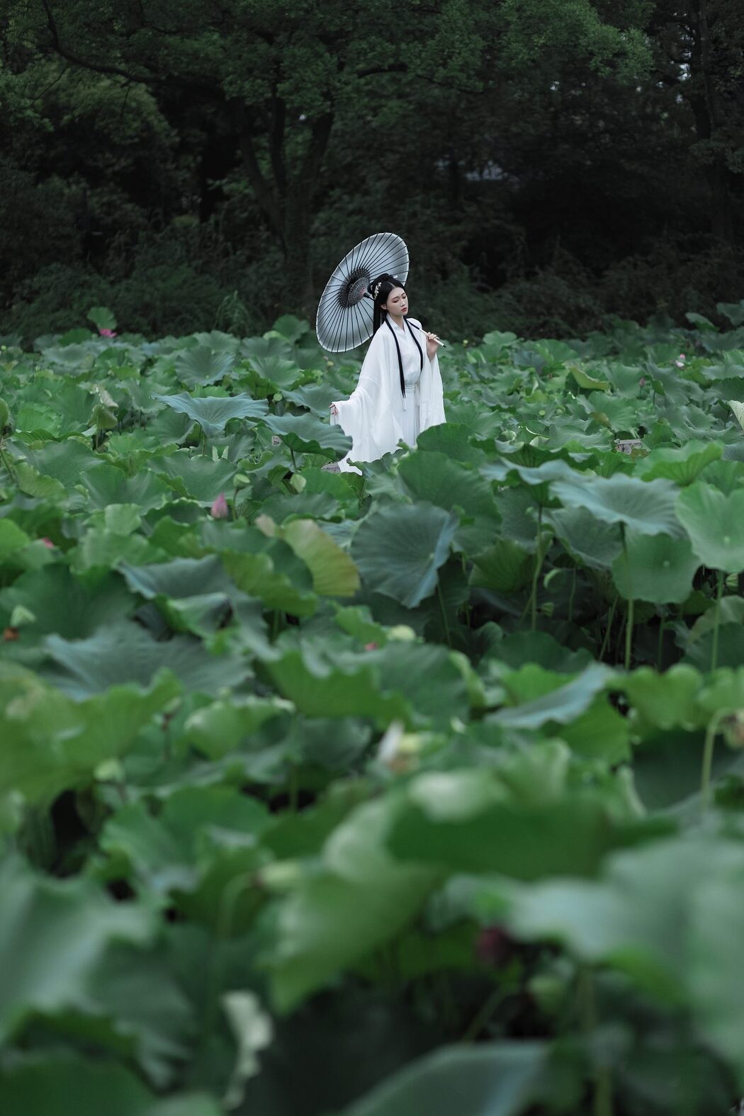 YiTuYu艺图语 Vol.743 Liu Liu Yang Liu Liu