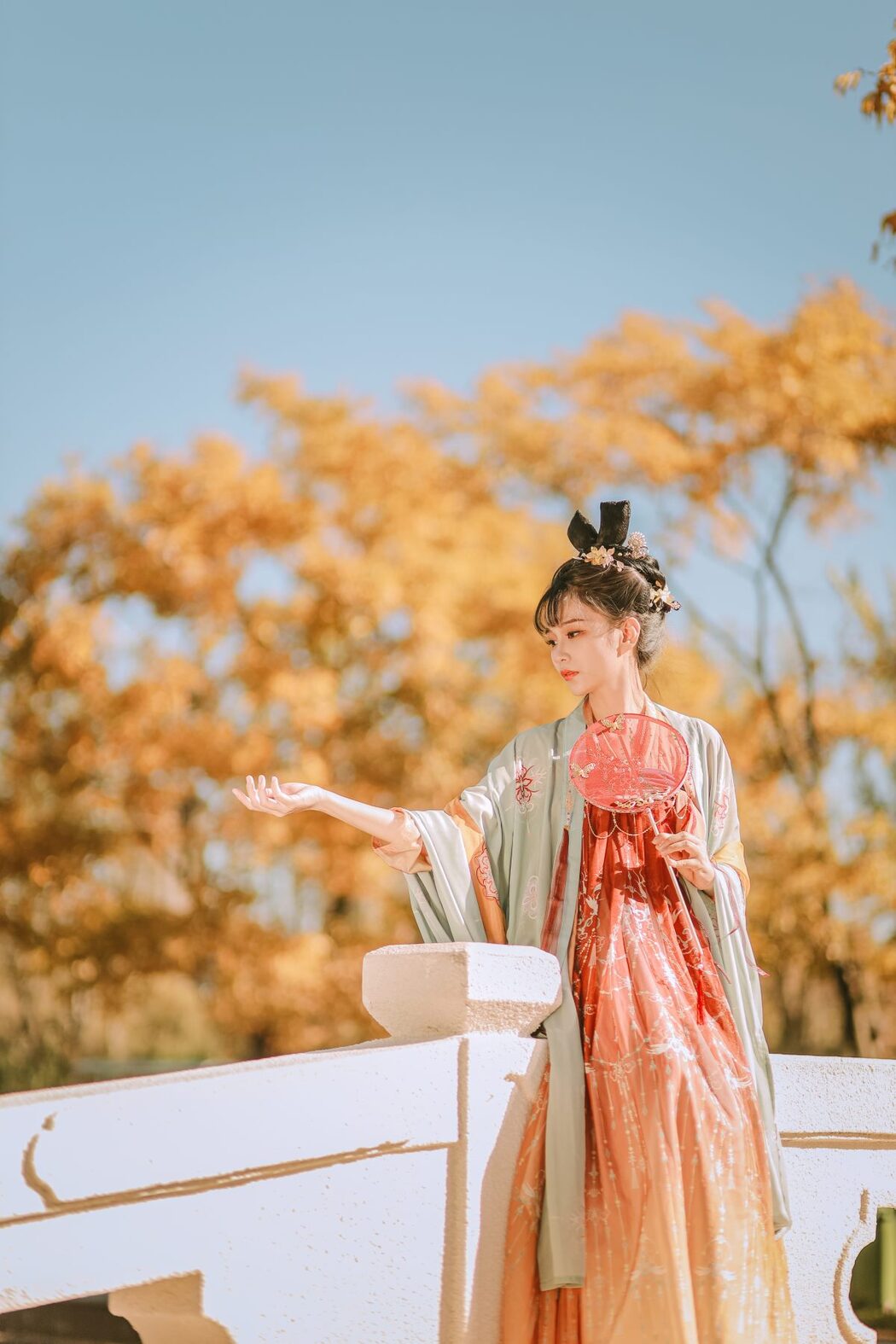 YiTuYu艺图语 Vol.704 Da Ju Mao