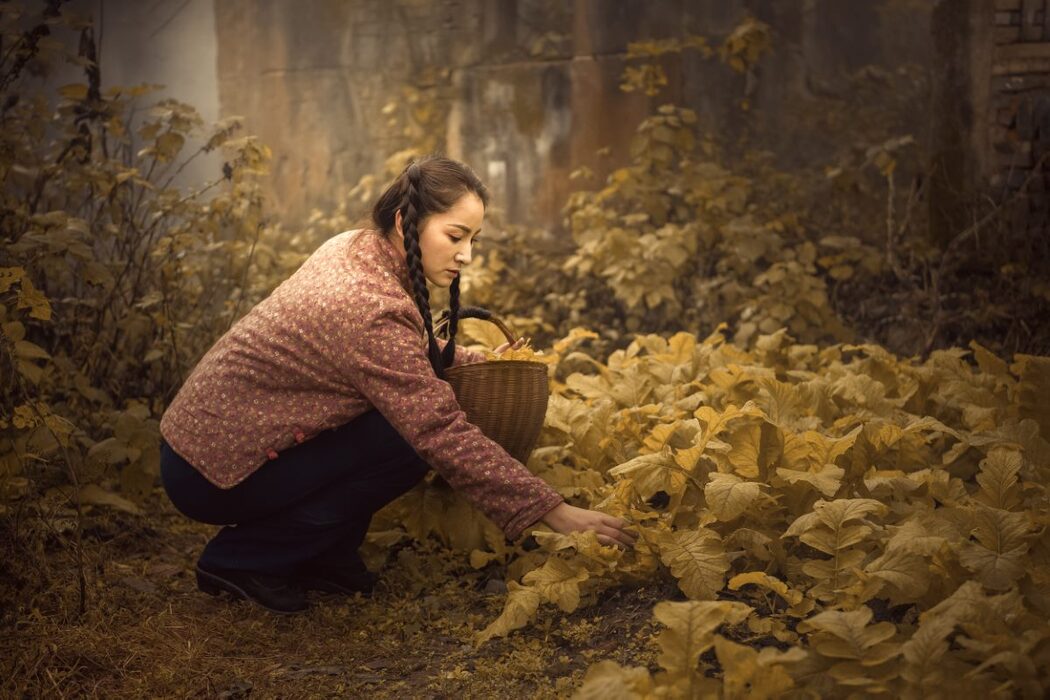 YiTuYu艺图语 Vol.735 Shi Zi Nu Wang